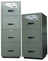 Fire Resistant Cabinet